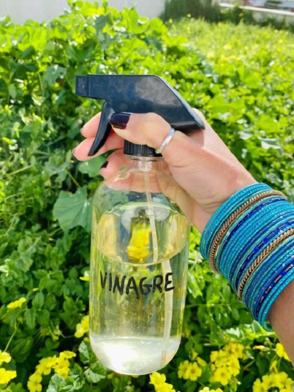 Atenção aos Óleos Essenciais: Diluição Correta é Fundamental - inspiração 1