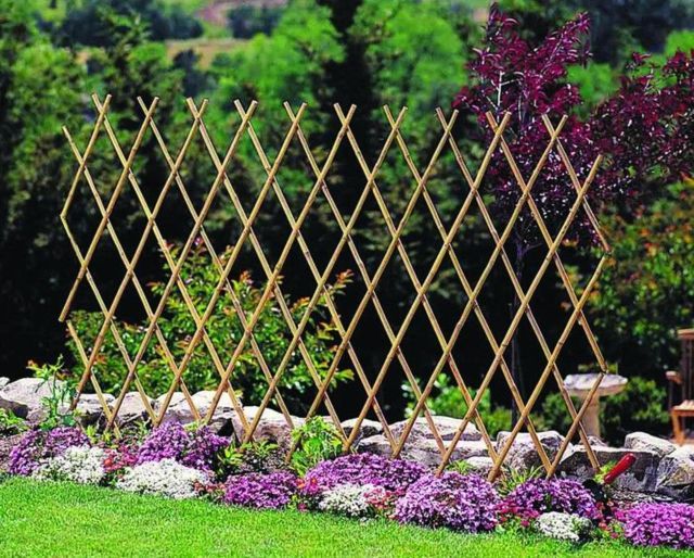 Planejando o Design: Forma e Função em Harmonia - inspiração 1