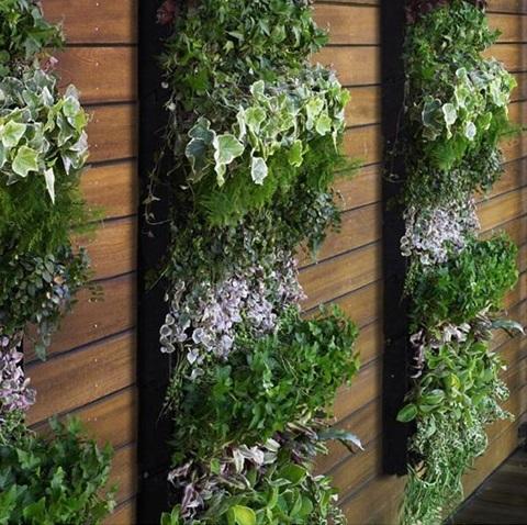 Passo a Passo: Montando Sua Primeira Treliça Fixa - inspiração 1