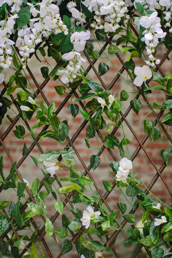 Treliças Modulares: Flexibilidade Para Seu Jardim - inspiração 2