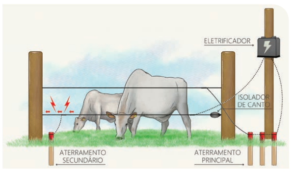 Entendendo os Componentes Essenciais do Aparelho - inspiração 1