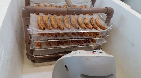 A Escolha Certa dos Materiais para a Estrutura - inspiração 2