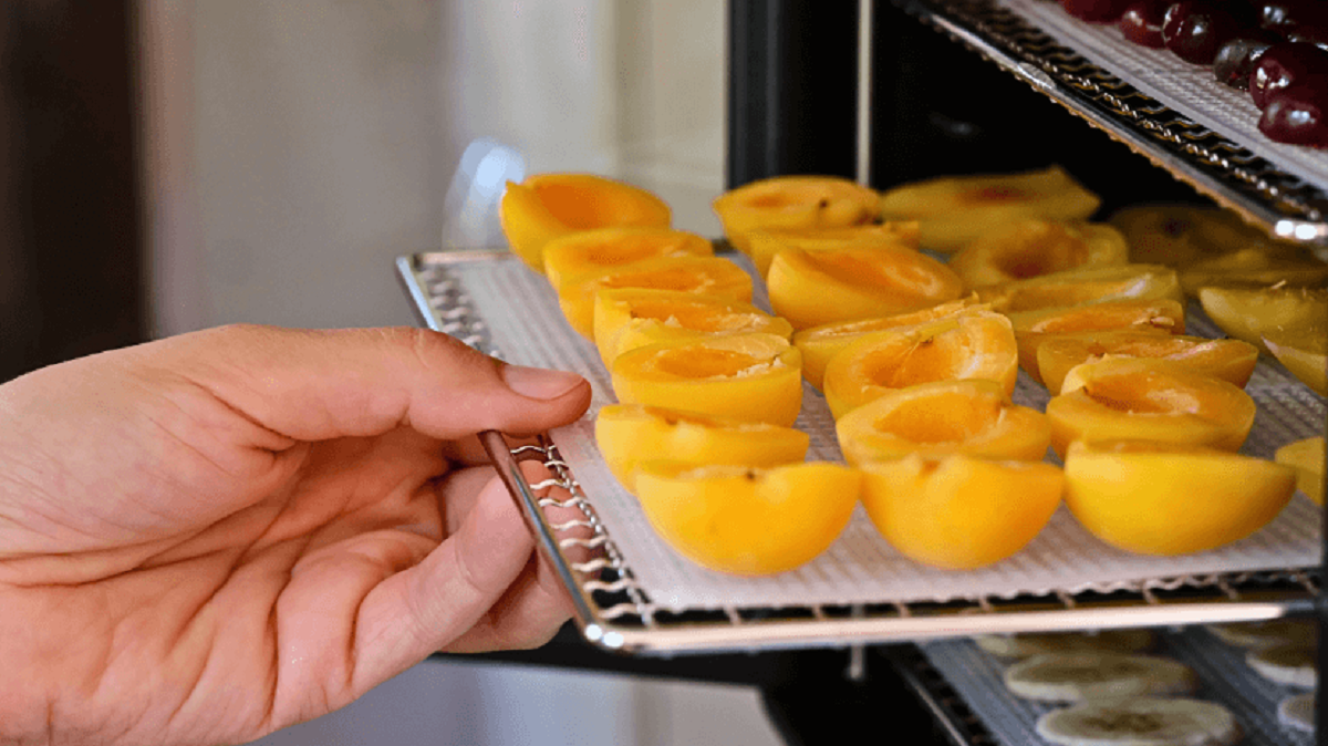 As Bandejas: Materiais Seguros e Eficazes - inspiração 2