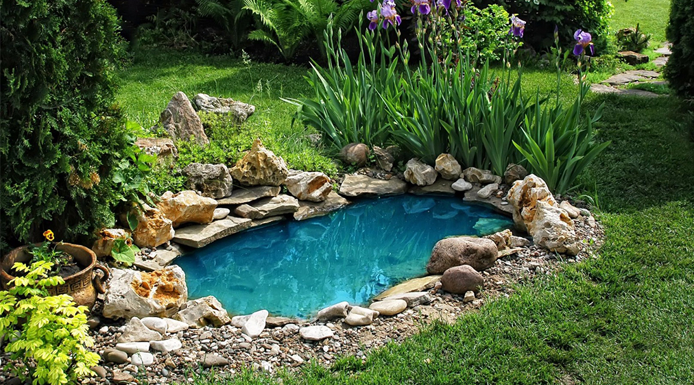 Planejando o Espaço Ideal para o Seu Lago - inspiração 1