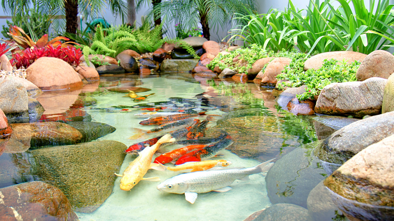 Planejando o Espaço Ideal para o Seu Lago - inspiração 2