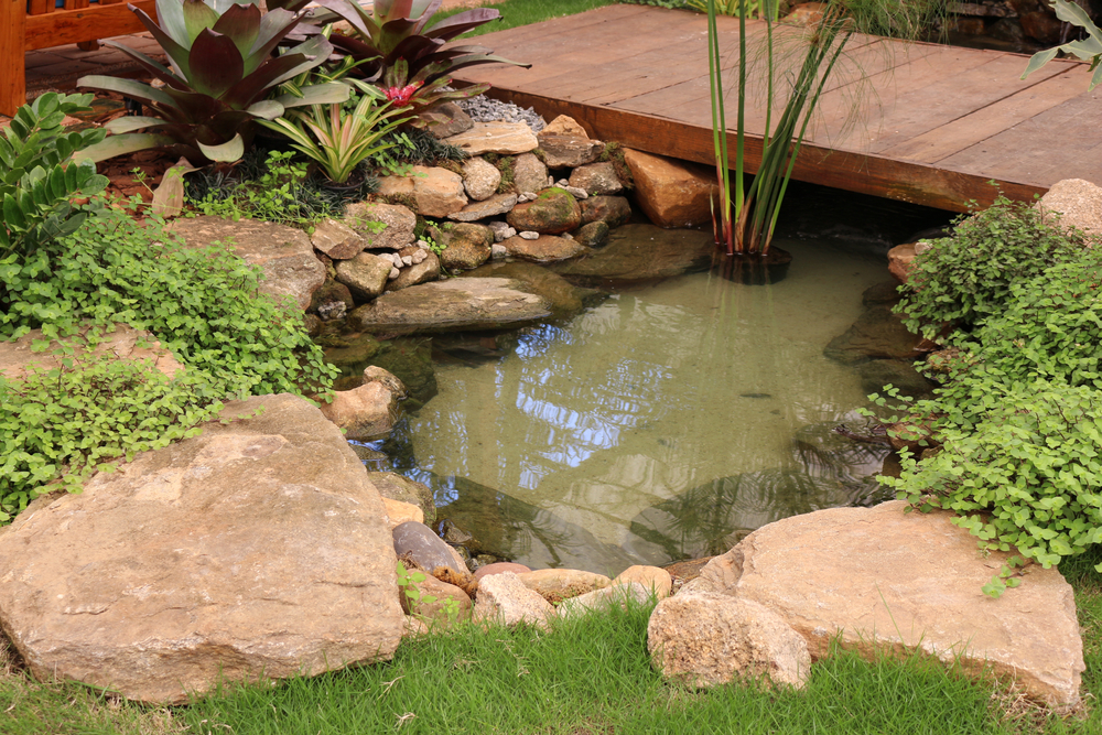 Alimentação Balanceada: O Segredo para Carpas Vibrantes - inspiração 2