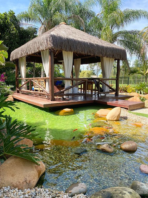 Aeração: Garantindo Oxigênio Suficiente para as Carpas - inspiração 2