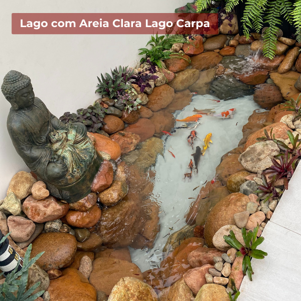 O Cuidado com o Substrato e a Decoração do Fundo - inspiração 1