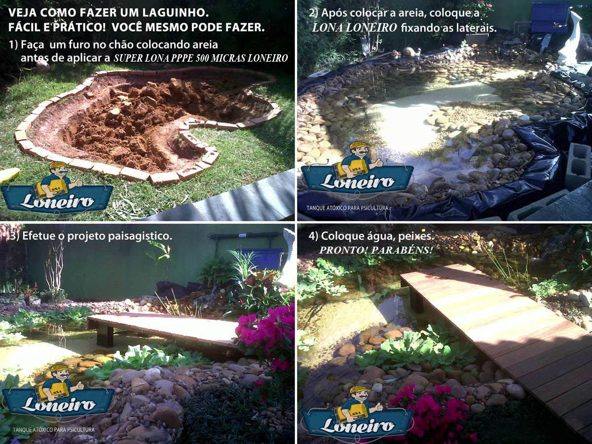 O Cuidado com o Substrato e a Decoração do Fundo - inspiração 2