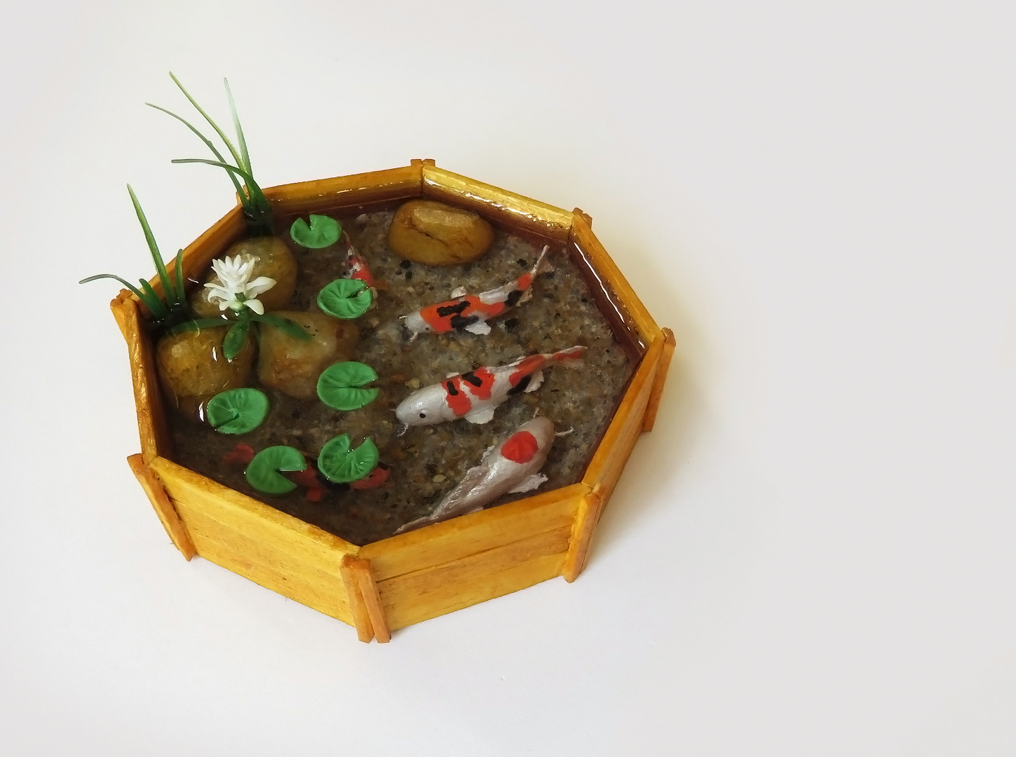 Aclimatação das Carpas ao Novo Ambiente - inspiração 1