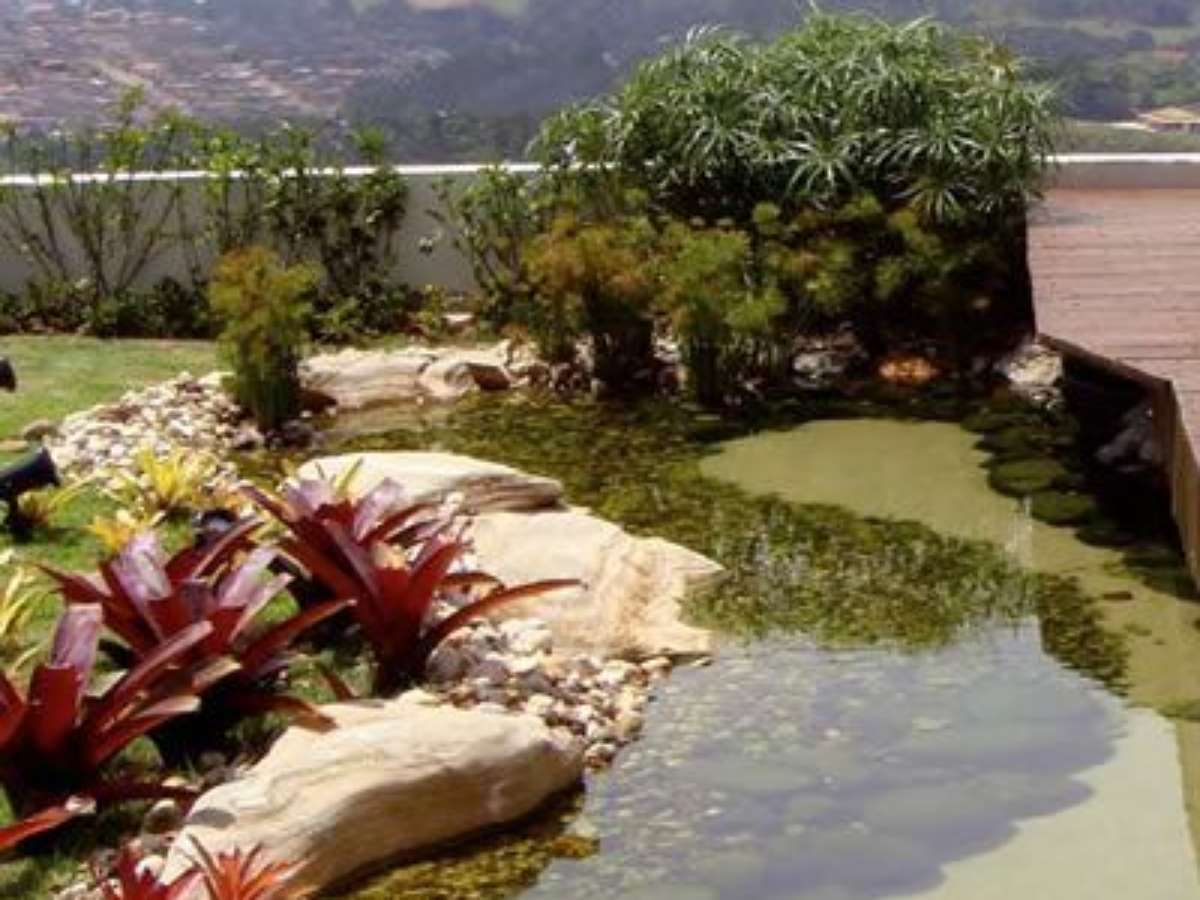Escolhendo o Local Ideal Para o Seu Rio Artificial - inspiração 1