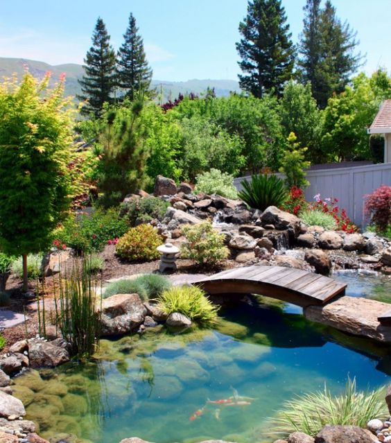 Dando Forma ao Leito: Criando a Topografia do Rio - inspiração 2