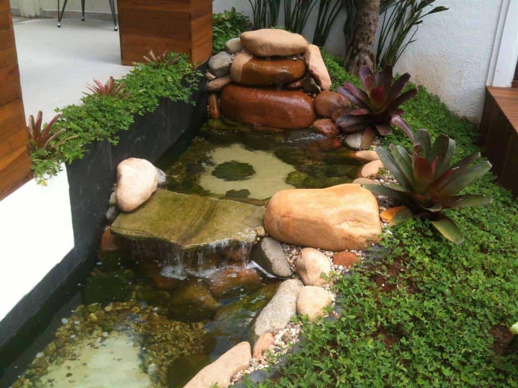 A Mágica da Vegetação: Plantas Que Harmonizam com o Ambiente Aquático - inspiração 1