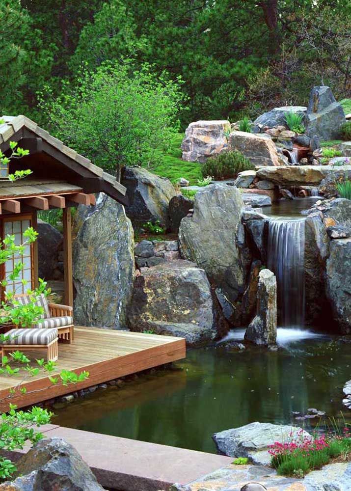 A Mágica da Vegetação: Plantas Que Harmonizam com o Ambiente Aquático - inspiração 2