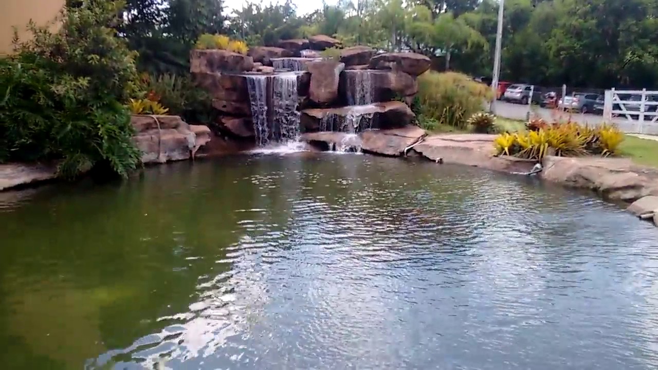 Manutenção Contínua: Cuidando do Seu Oásis - inspiração 1