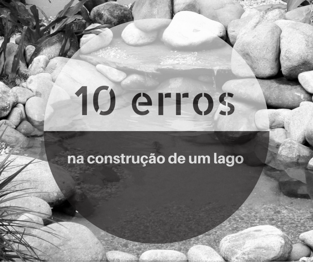 Manutenção Contínua: Cuidando do Seu Oásis - inspiração 2