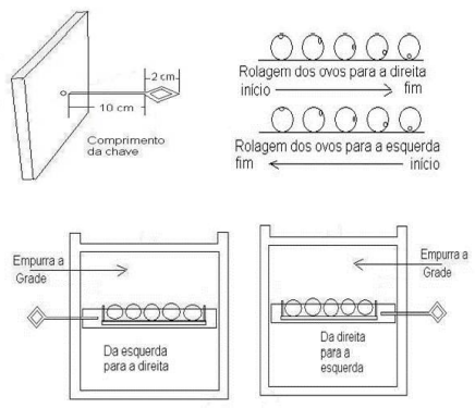 Acompanhamento Diário: Observando o Desenvolvimento dos Seus Futuros Filhotes - inspiração 1