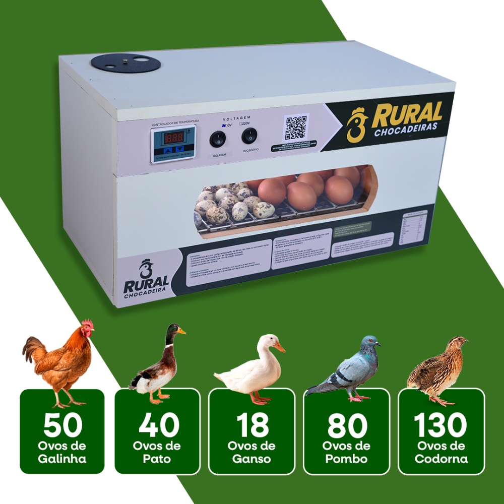 A Caixa Perfeita: Escolhendo o Recipiente Ideal Para Sua Chocadeira - inspiração 2