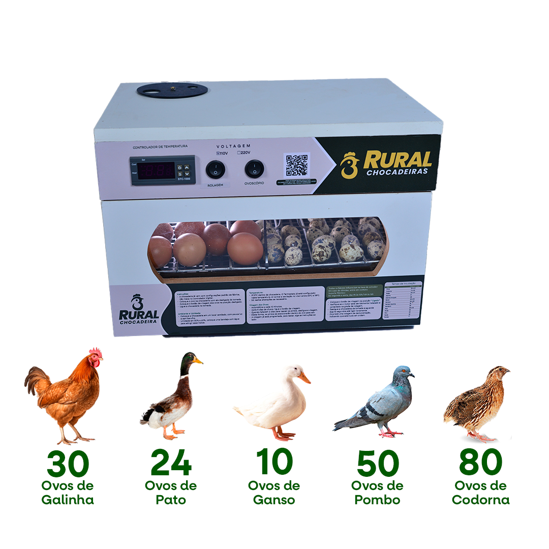 Precisão na Umidade: Garantindo o Ambiente Ideal para a Eclosão - inspiração 2