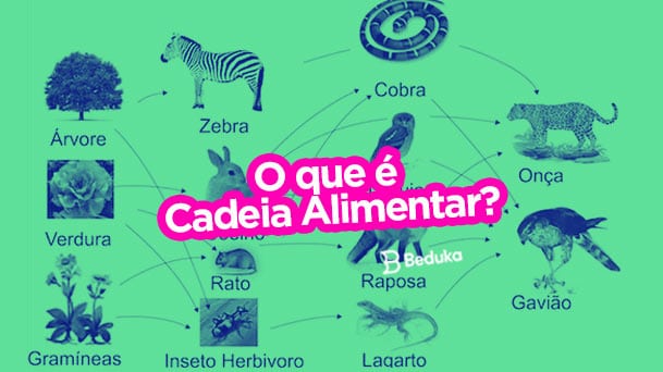 Montando Sua Própria Representação: Uma Ferramenta de Aprendizagem - inspiração 1