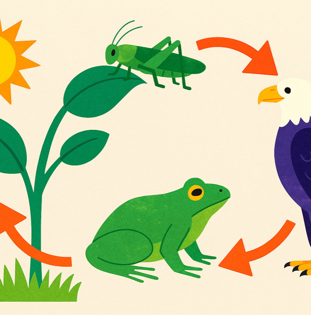 Montando Sua Própria Representação: Uma Ferramenta de Aprendizagem - inspiração 2