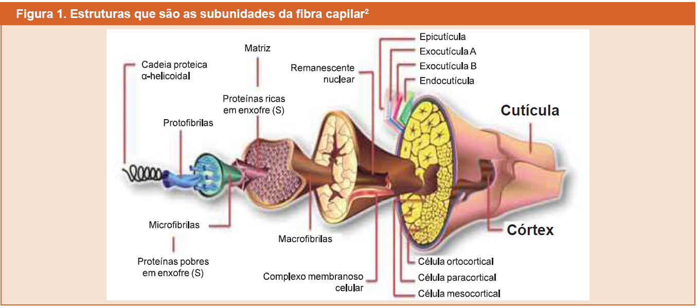 Penteados Que Cuidam: Estilo Sem Machucar - inspiração 2
