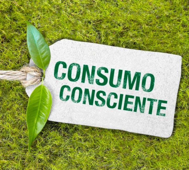 O que realmente significa ser um consumidor consciente? - inspiração 1