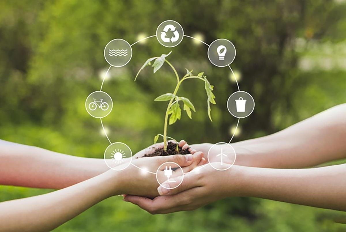 Passo 3: Priorize qualidade e durabilidade em vez de quantidade. - inspiração 1