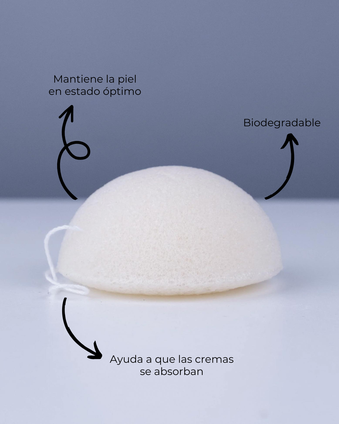 O Que é a Esponja Konjac e Por Que Ela Virou o Queridinho das Pele - inspiração 1