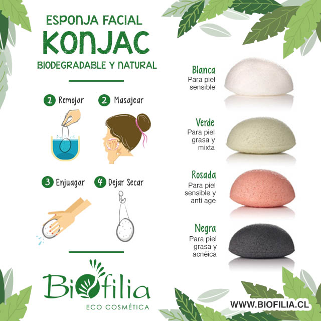 Os Benefícios Surpreendentes para Todos os Tipos de Pele - inspiração 1