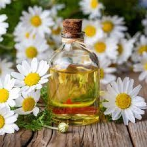 A Camomila: Um Segredo Milenar para a Pele Radiante - inspiração 1
