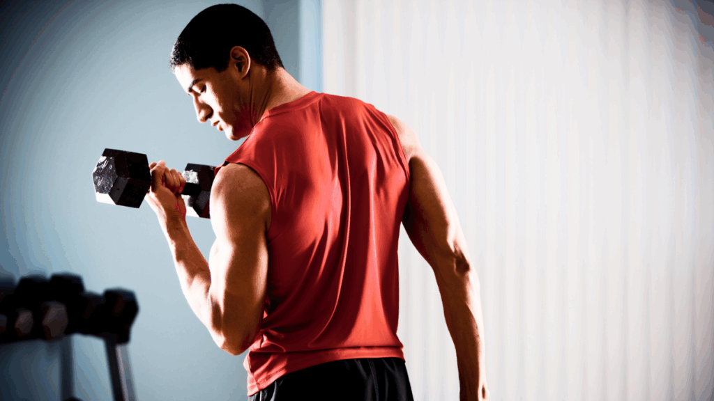 Nutrição: O Combustível Ideal Para Seus Músculos - inspiração 1