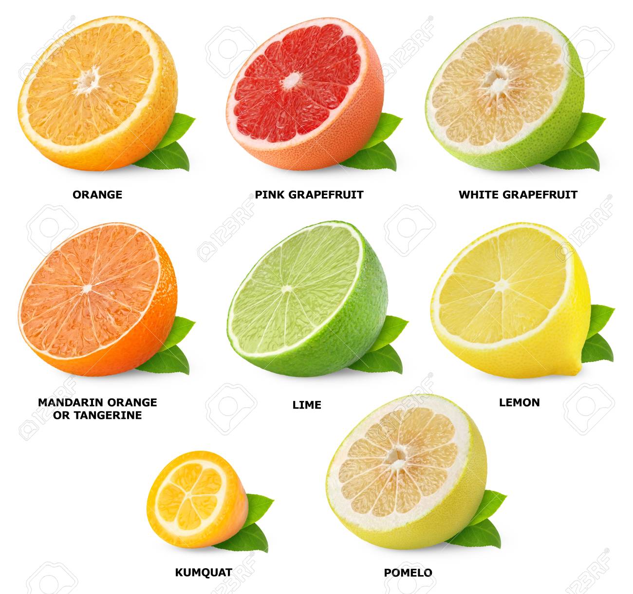 Grapefruits: O Aliado Perfeito Para Sua Dieta e Bem-Estar - inspiração 2