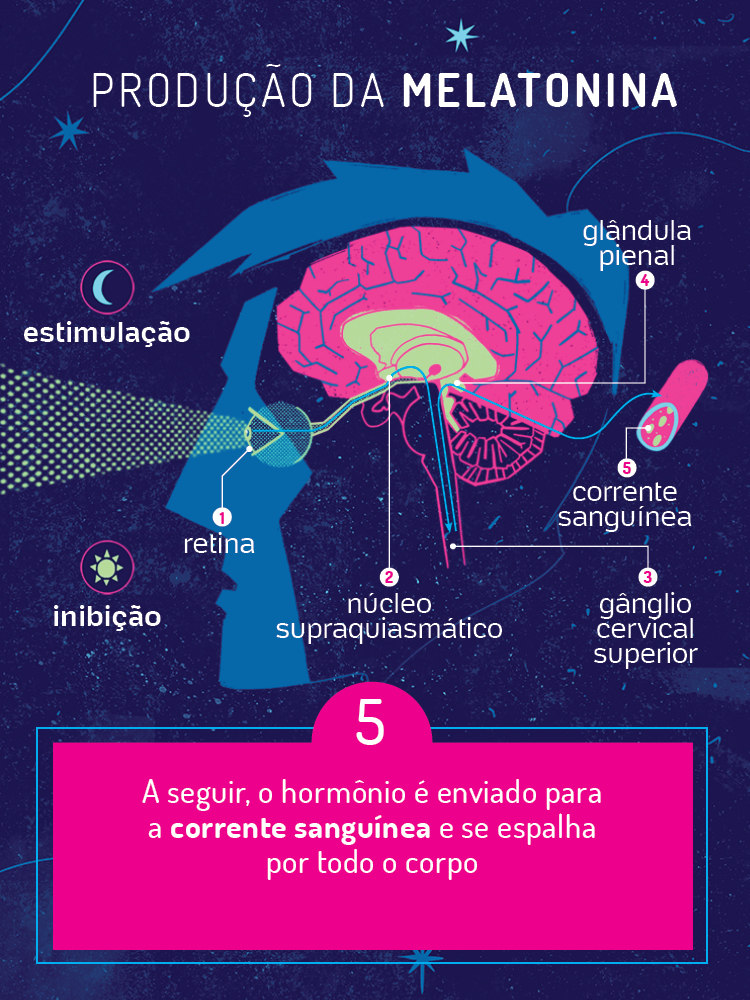 Os Benefícios Surpreendentes da Melatonina para a Saúde Feminina - inspiração 1