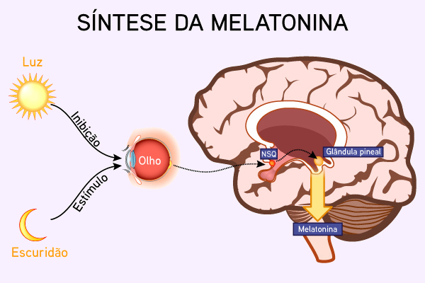 Entendendo a Deficiência de Melatonina: Sinais de Alerta - inspiração 1