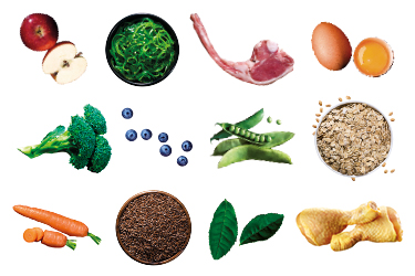 Cabelos Brilhantes com Extratos Botânicos - inspiração 2