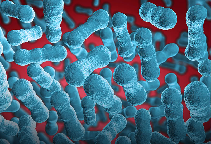 Equilíbrio é Tudo: Como Probióticos Harmonizam o Microbioma da Pele - inspiração 1