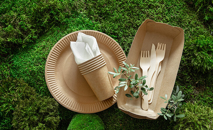 Limpeza Consciente: Alternativas Ecológicas Para Sua Casa - inspiração 1