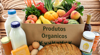 Mercado orgânico brasileiro: Onde encontrar e como identificar produtos confiáveis. - inspiração 2