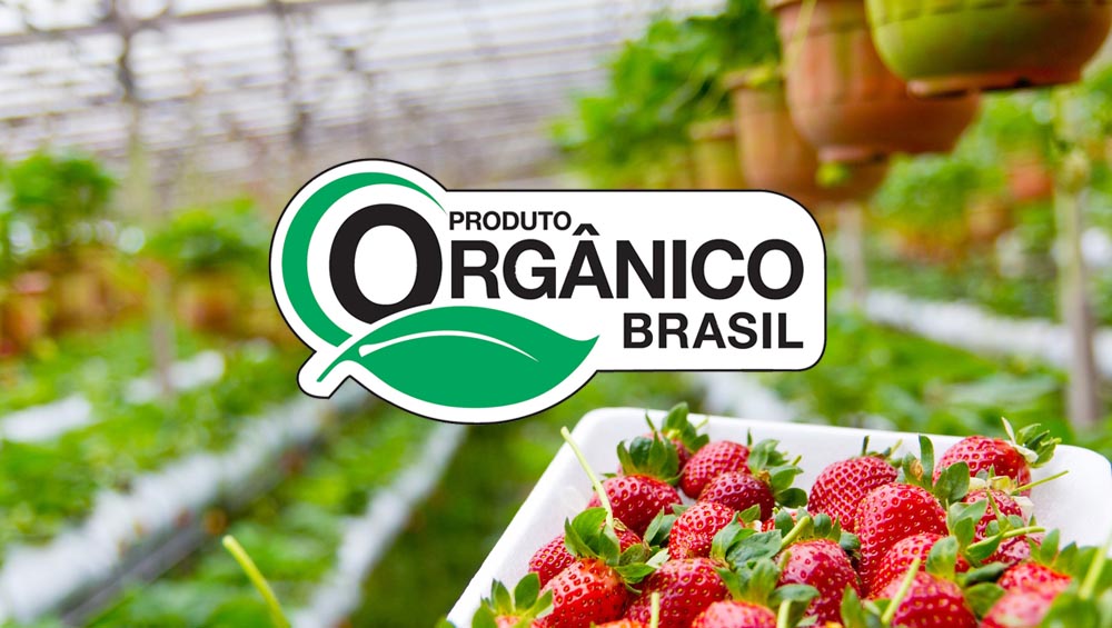 O impacto positivo dos orgânicos no meio ambiente: Um cuidado além do pessoal. - inspiração 1