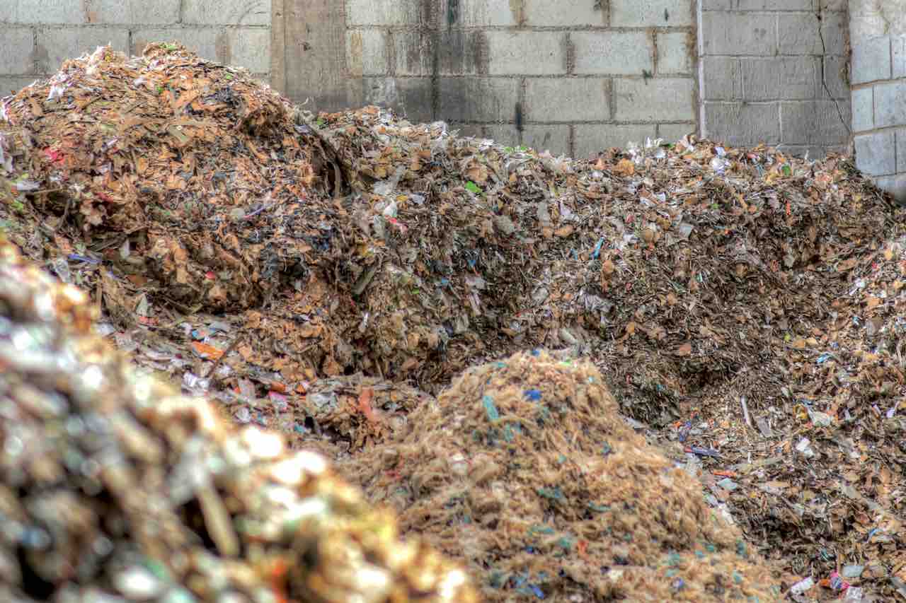 Dicas para Iniciantes: Quais Produtos Sólidos Experimentar Primeiro? - inspiração 2