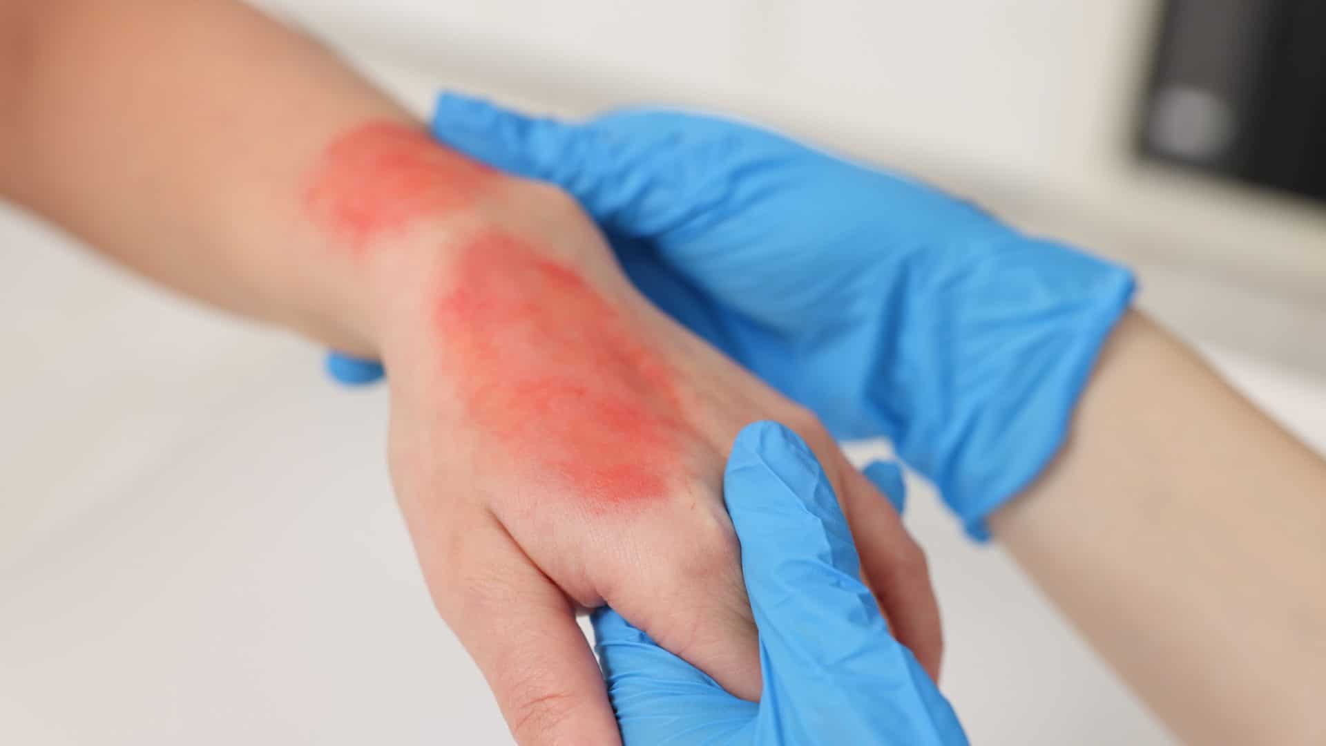 Nutrição Celular: Ingredientes que Transformam - inspiração 1