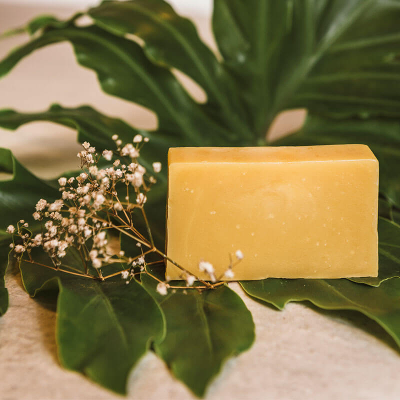 Ingredientes Que Nutrem: Óleos e Manteigas Que Fazem a Diferença - inspiração 1