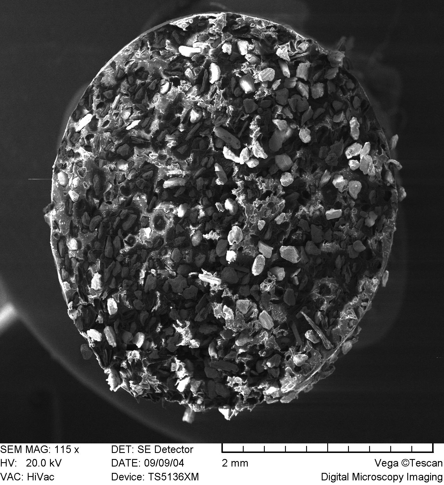 O Impacto Ambiental: Uma Escolha Consciente para Você e o Planeta - inspiração 1