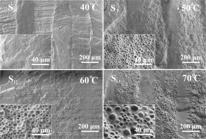 Hidratação Profunda: Alternativas Naturais para o Silicone - inspiração 2