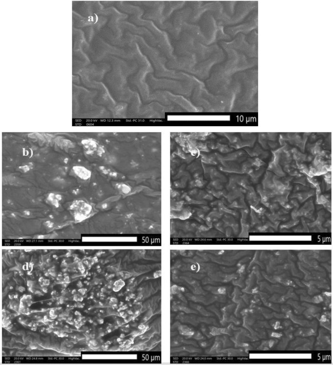 Cuidados com a Pele: A Limpeza que Realmente Funciona - inspiração 1