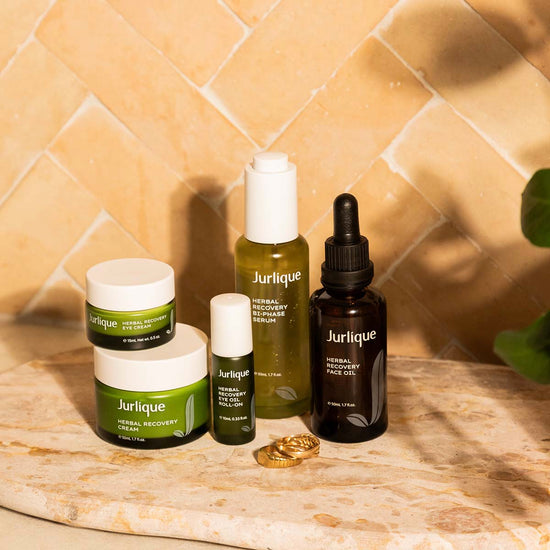 Camomila: Calmante Natural Para Pele Irritada - inspiração 2