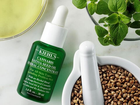 Hamamélis: Astringente Suave Que Afina os Poros - inspiração 2