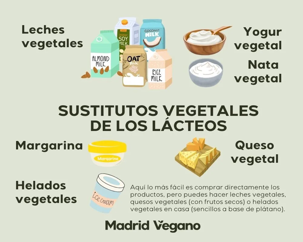 Leites Vegetais: Do Arroz à Amêndoa, Encontrando o Seu Preferido - inspiração 2
