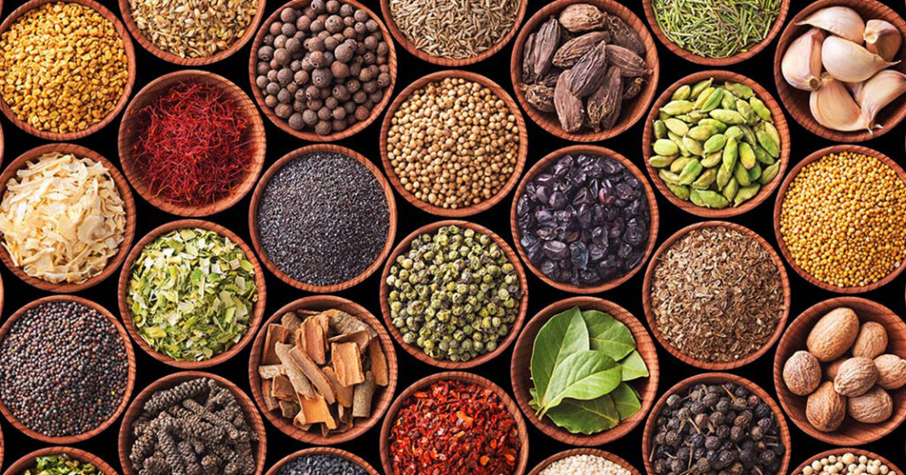 Probióticos: O Equilíbrio Que Começa no Seu Intestino - inspiração 1